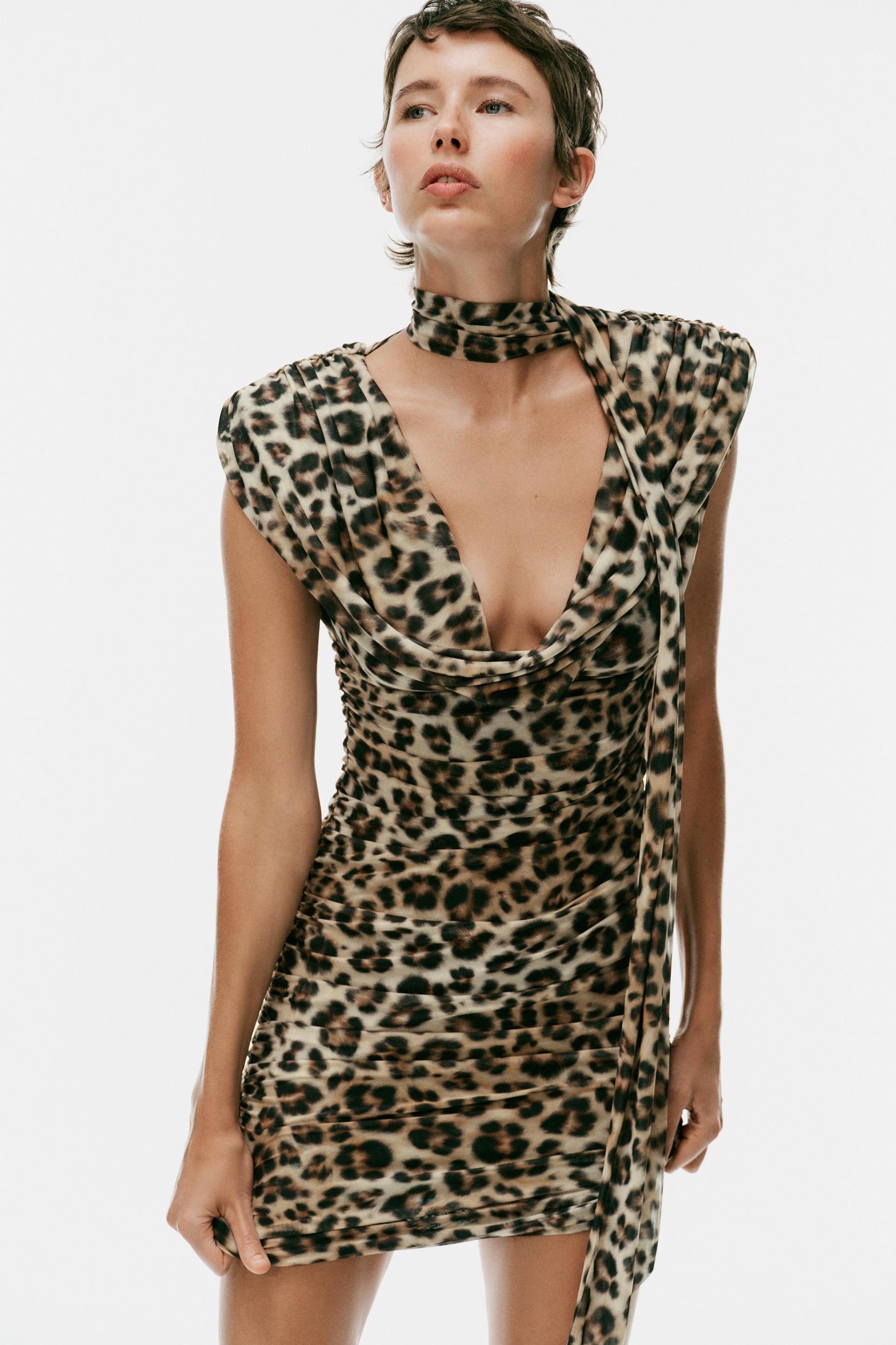 #080B02, Leopard