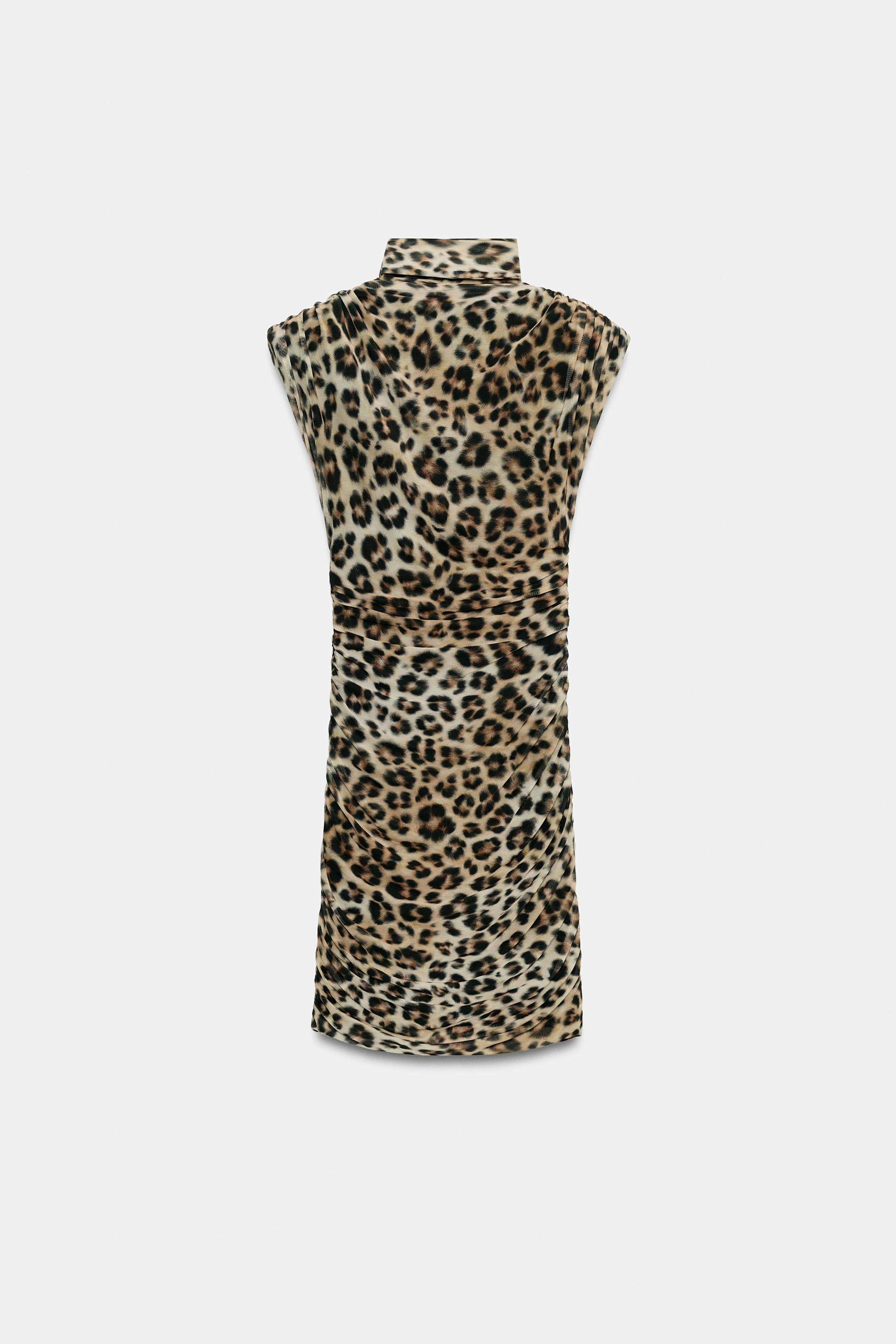 #080B02, Leopard